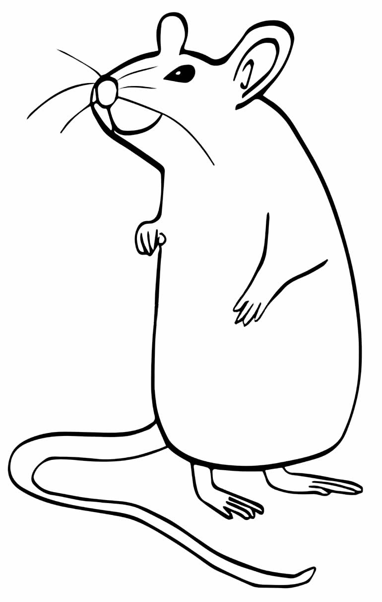 Desenho fofo de Ratinho para pintar e colorir