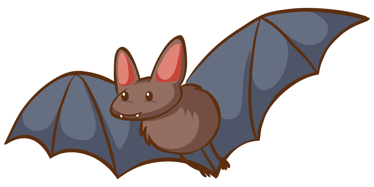 Morcego - Desenho
