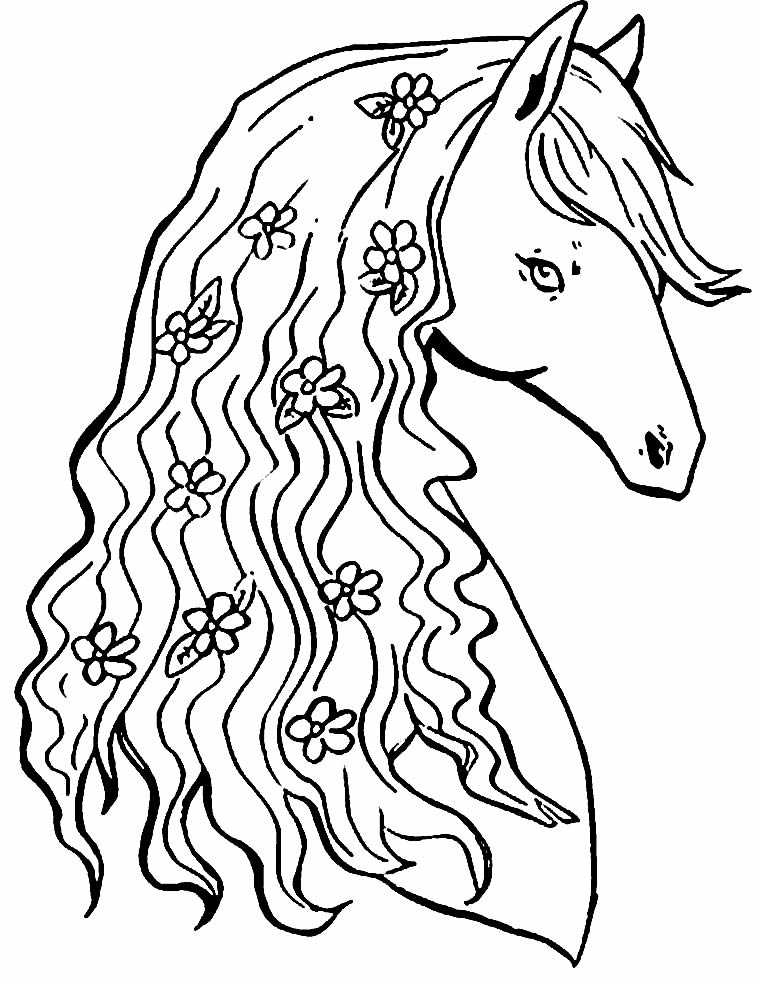 50+ Desenhos para colorir de Cavalos - Como fazer em casa