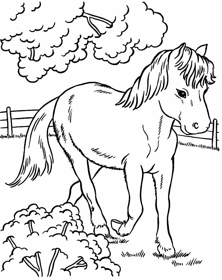 Desenho de Cavalo para pintar