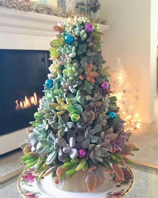 Árvore de Natal de suculentas