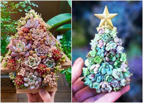Decoração com Árvore de Natal de suculentas