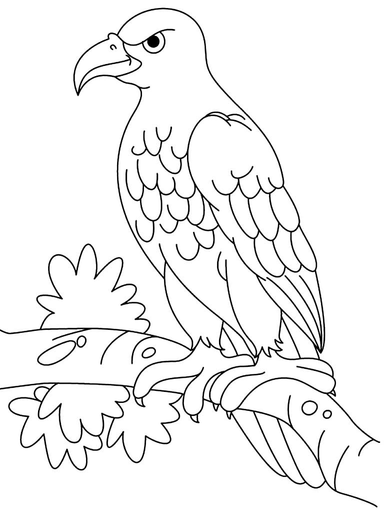 Desenho para colorir de Águia