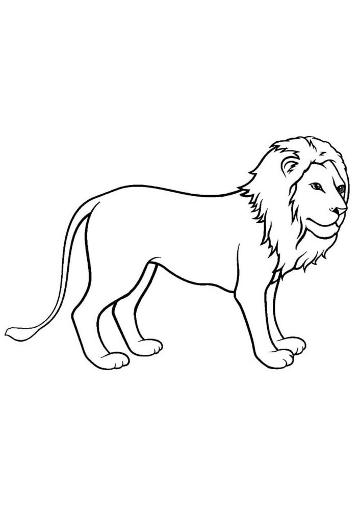 Desenho de Leão