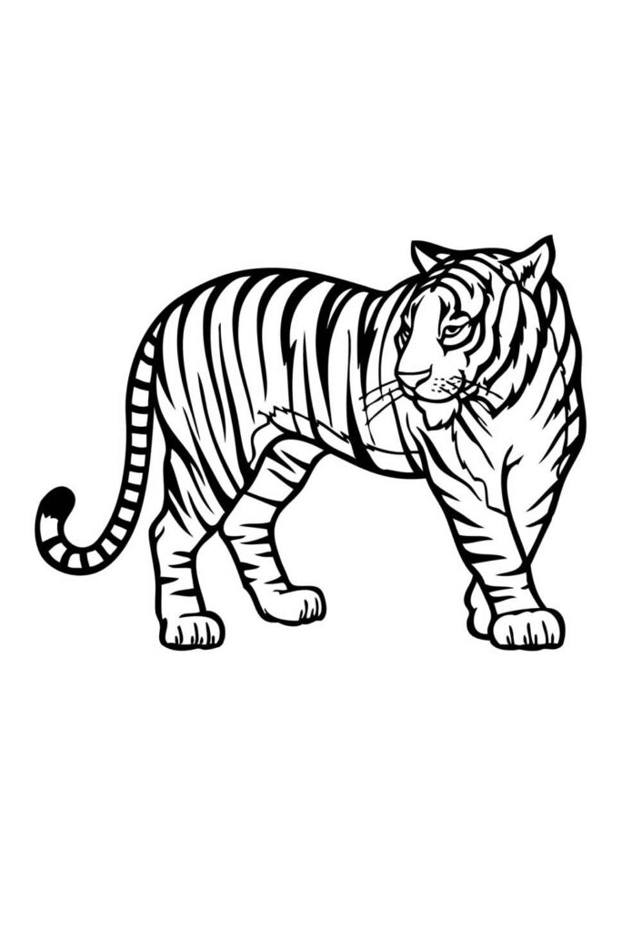 Desenho de Tigre