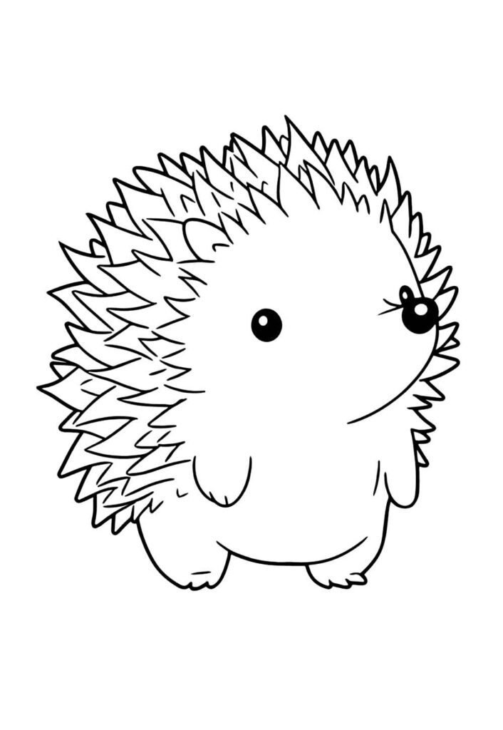 Desenho de Porco Espinho