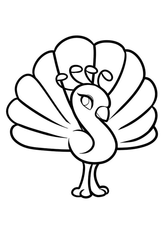 Desenho de Pavão