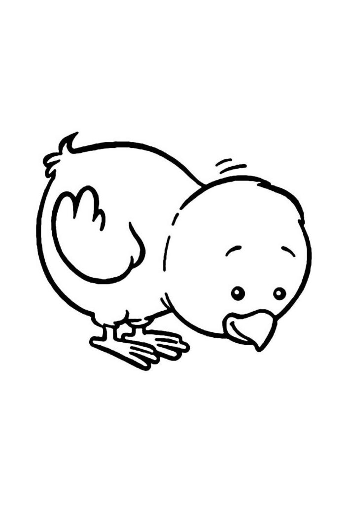 Desenho de Pintinho