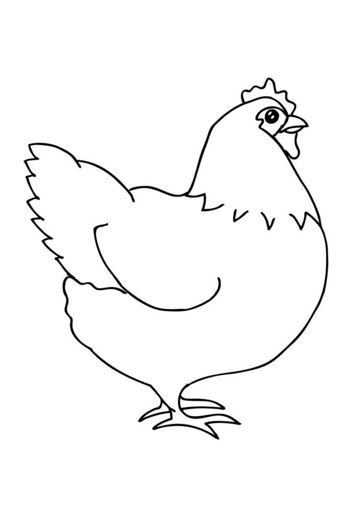 Desenho de Galinha