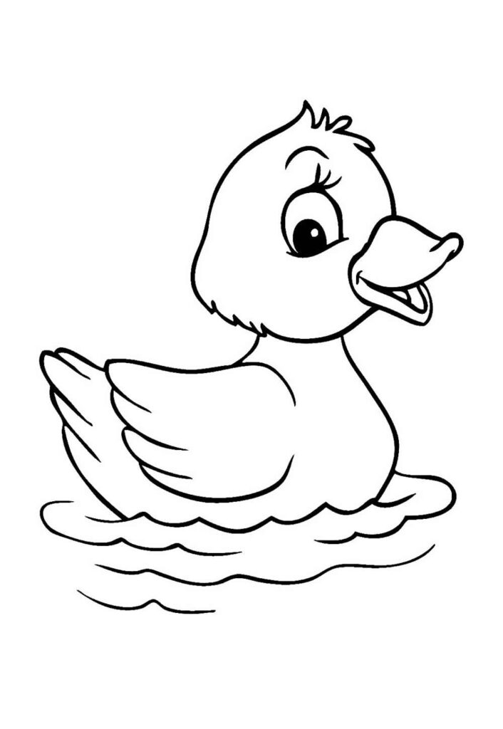 Desenho de Pato