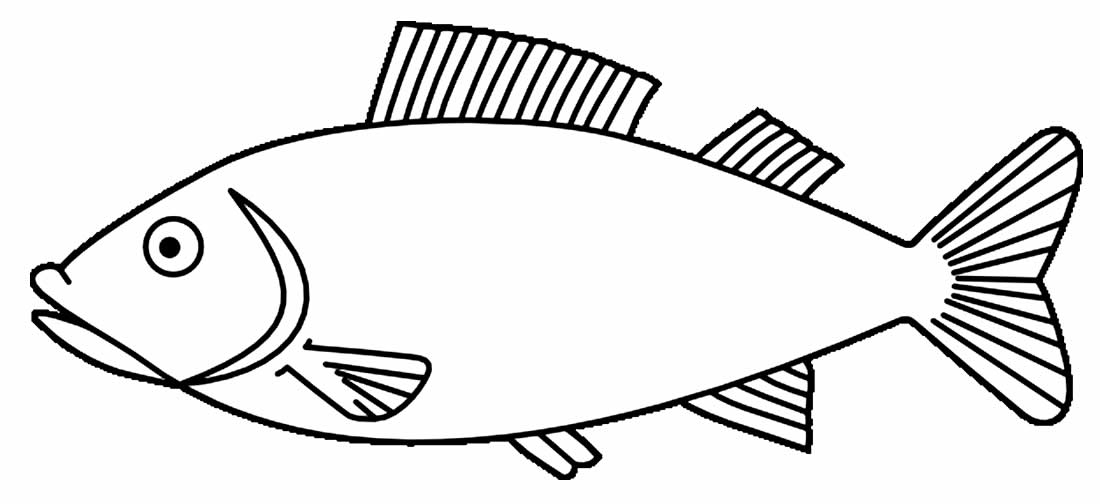 Desenho de Peixe para colorir