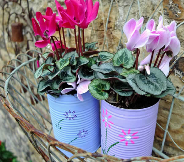 Latas decoradas com arranjos