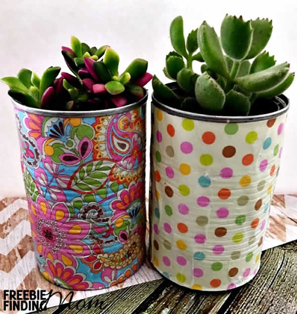 Suculentas em latas decoradas