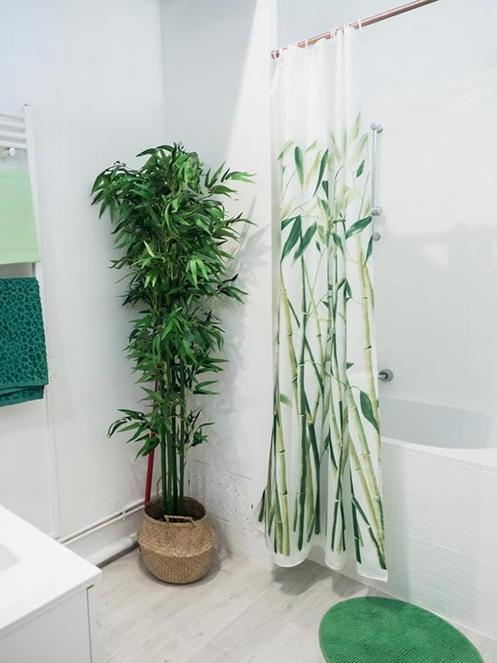 Plantas para decoração de banheiro