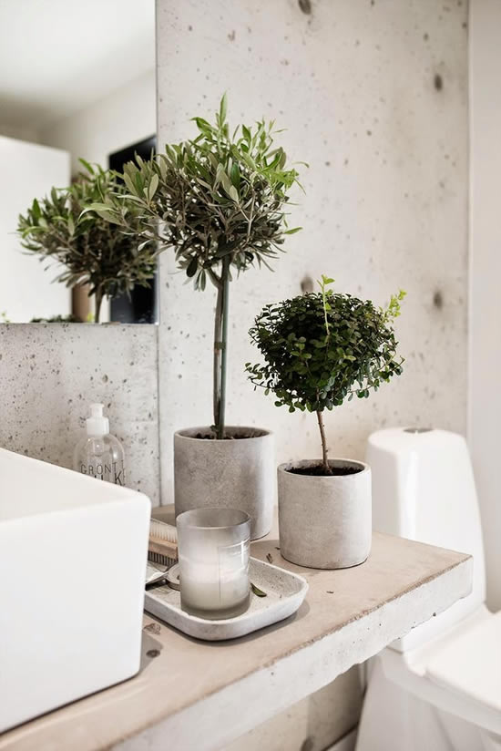 Decoração de banheiro com plantinhas