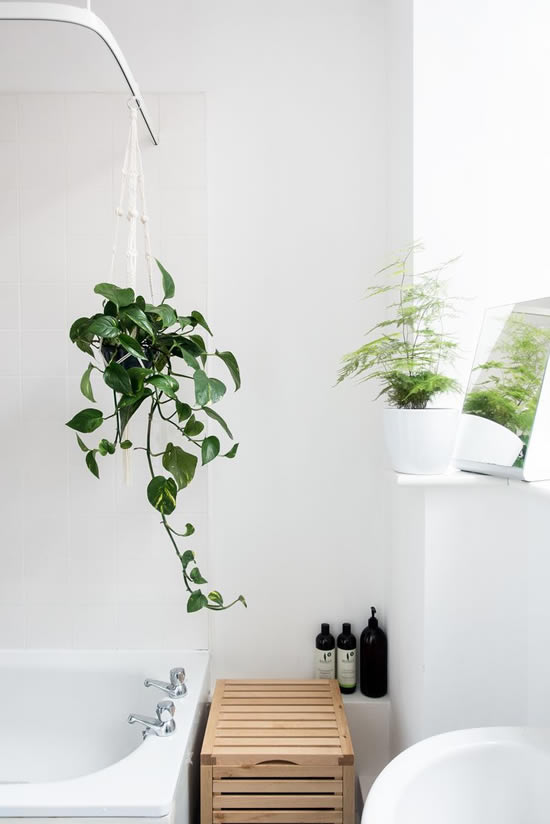 Decoração de banheiro com plantas