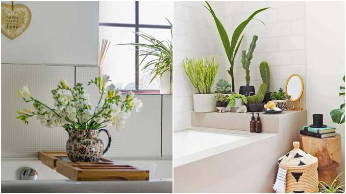Decoração de banheiro com plantas