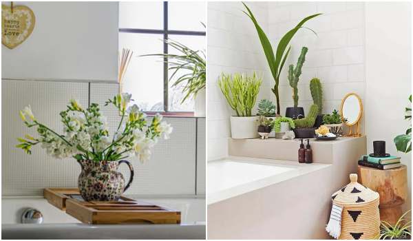 Decoração de banheiro com plantas