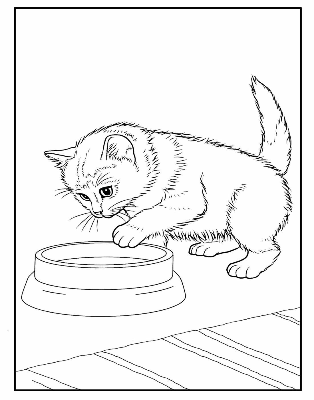 10 Incríveis Desenhos de Gato Realista para Colorir