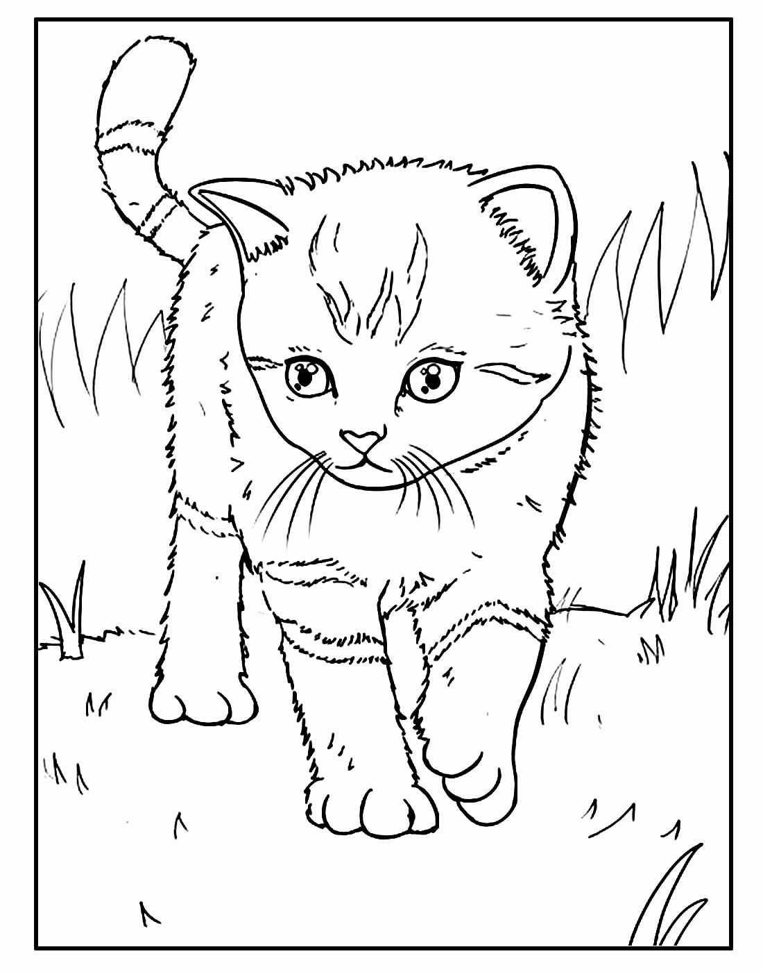 Desenho de Gato para colorir