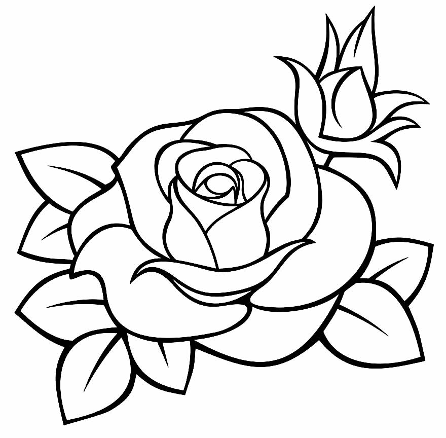 50+ Desenhos de Rosa para colorir - Dicas Práticas