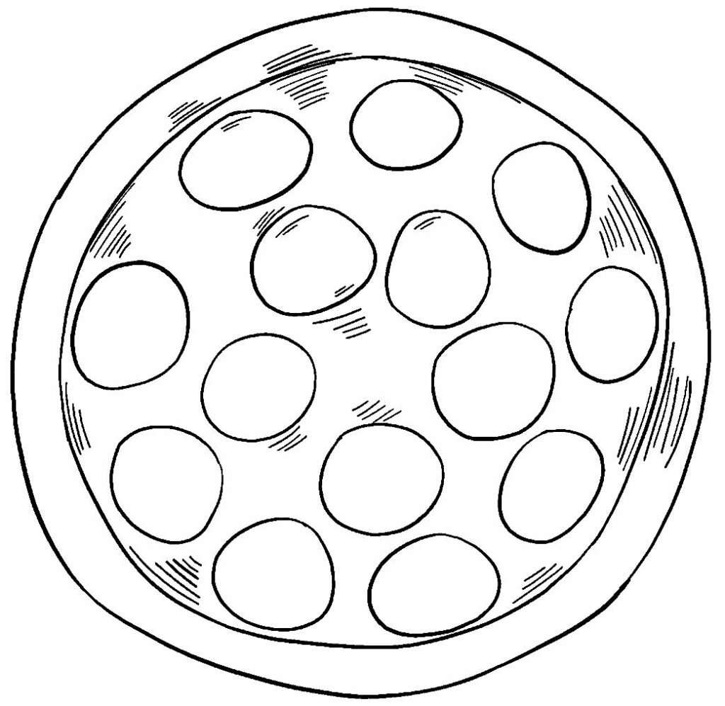 50-desenhos-para-colorir-de-pizza-dicas-pr-ticas