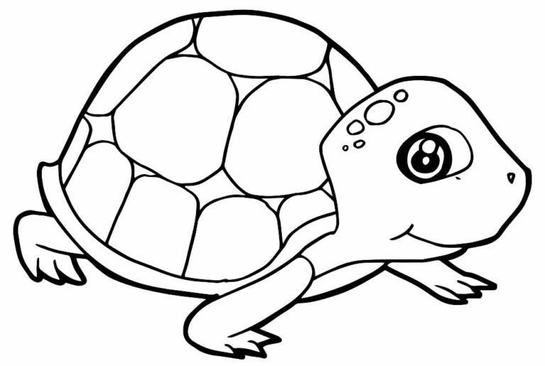 30+ Desenhos para colorir de Tartaruga - Dicas Práticas