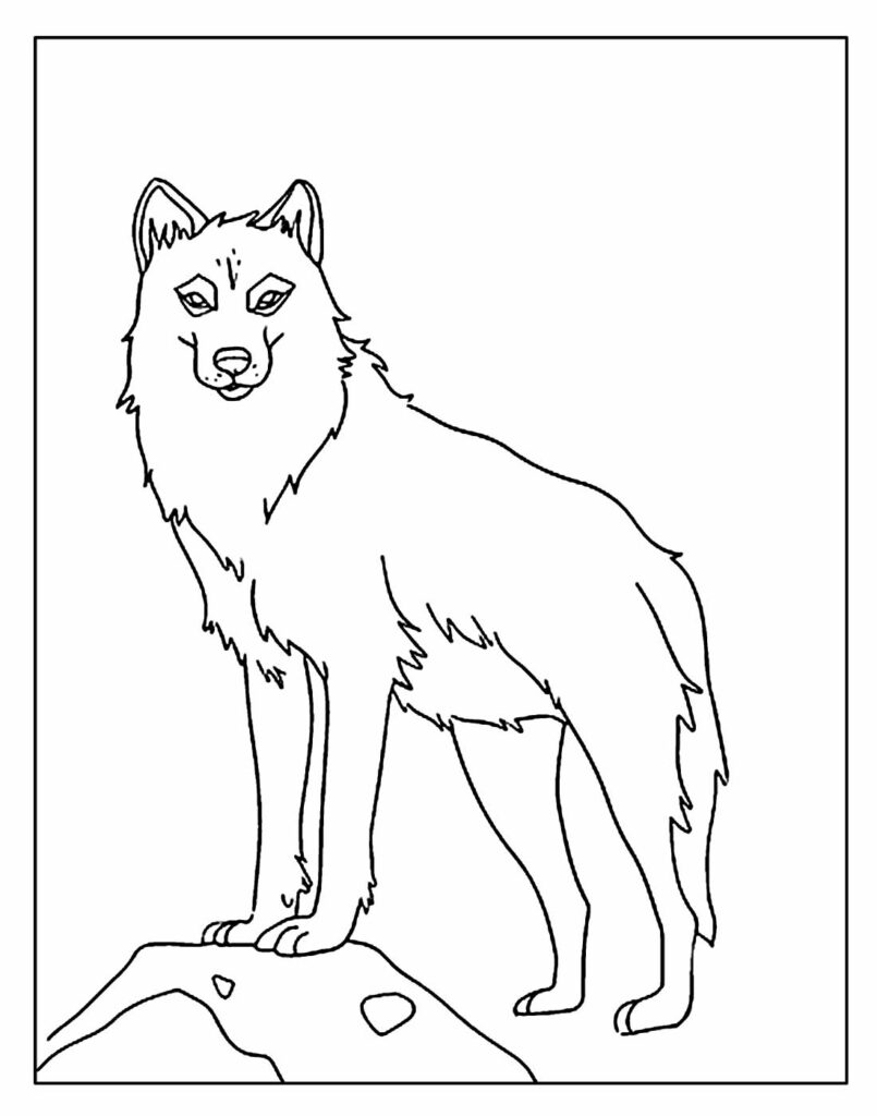 Desenho de Lobo para colorir e pintar
