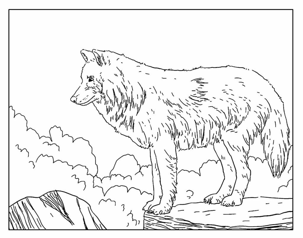 Desenho realista de Lobo para colorir