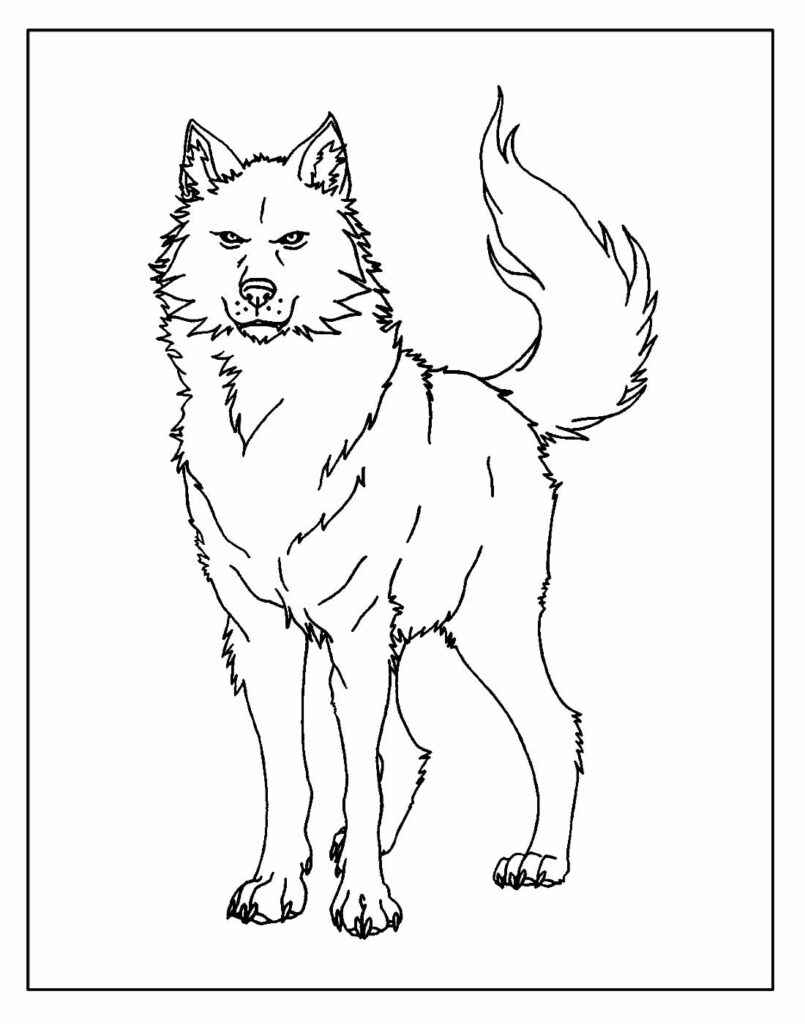 Desenhos para colorir Lobo