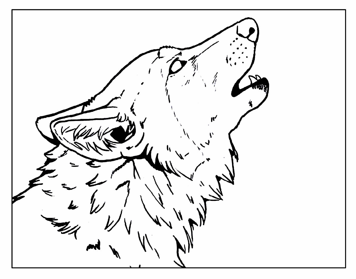 50+ Desenhos para colorir de Lobo - Dicas Práticas