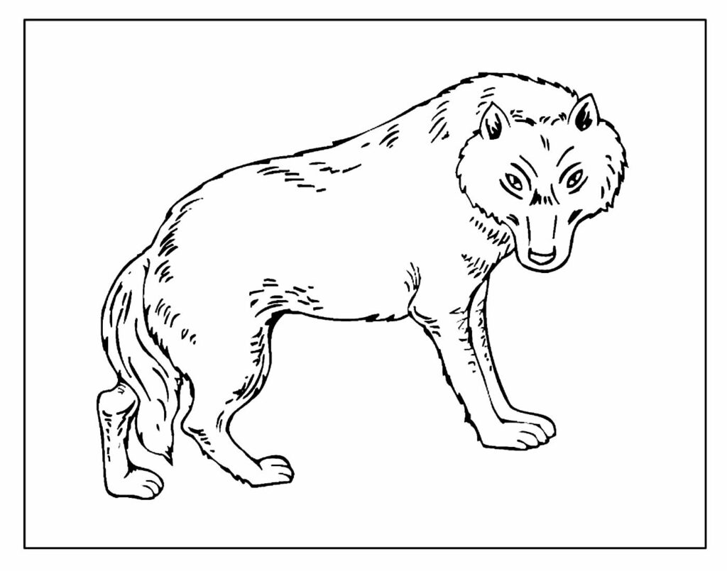 Desenho para colorir Lobo