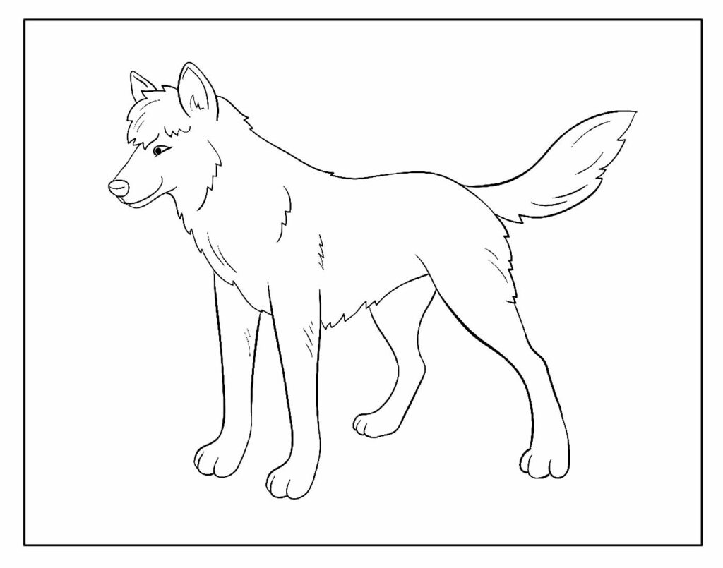 Desenho para colorir Lobo