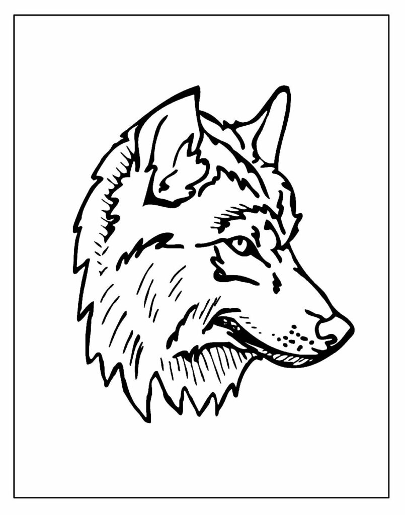 Desenho para pintar e colorir de Lobo