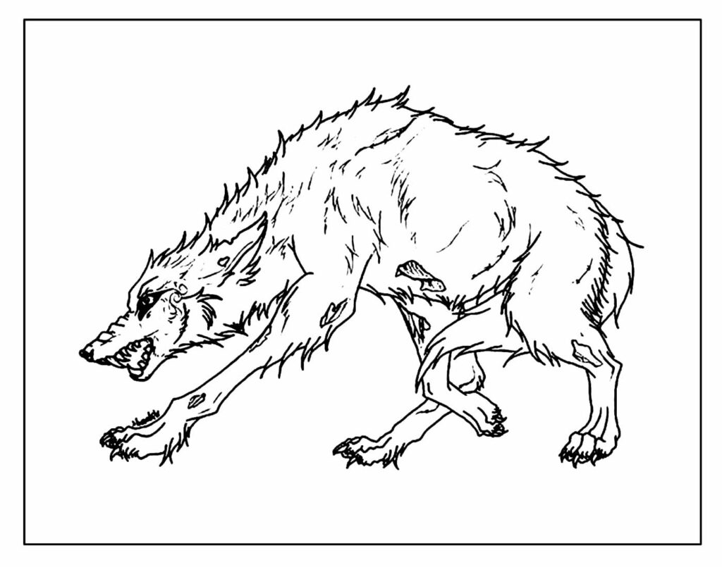 Desenho de Lobo