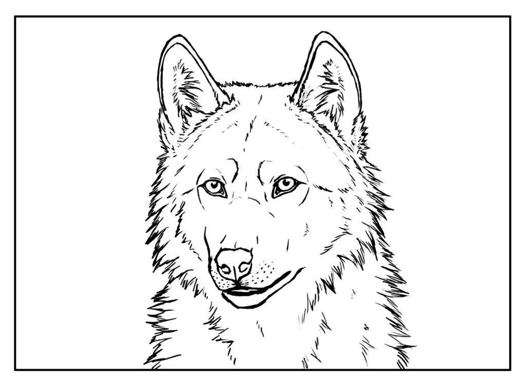 Desenho Realista para Colorir de Lobo