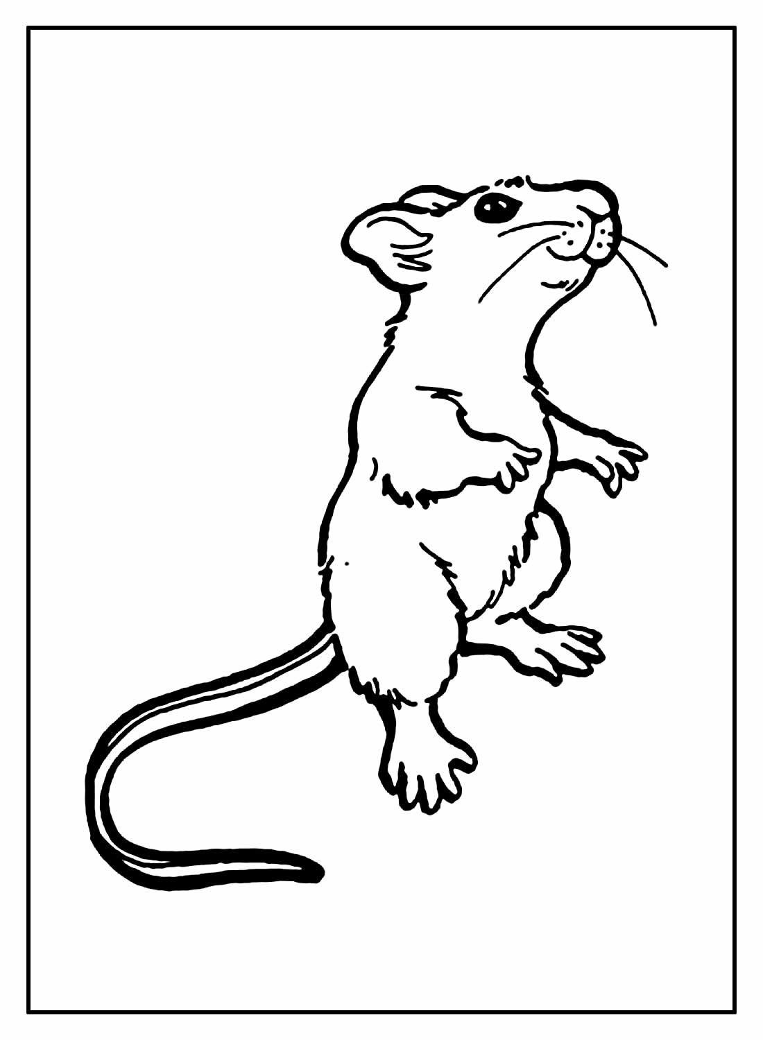 Desenho de Ratinho para pintar