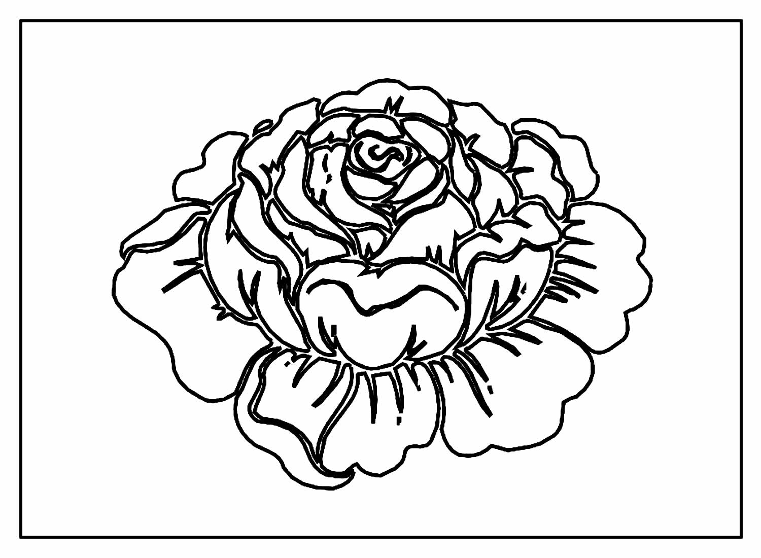 Desenho Rosa