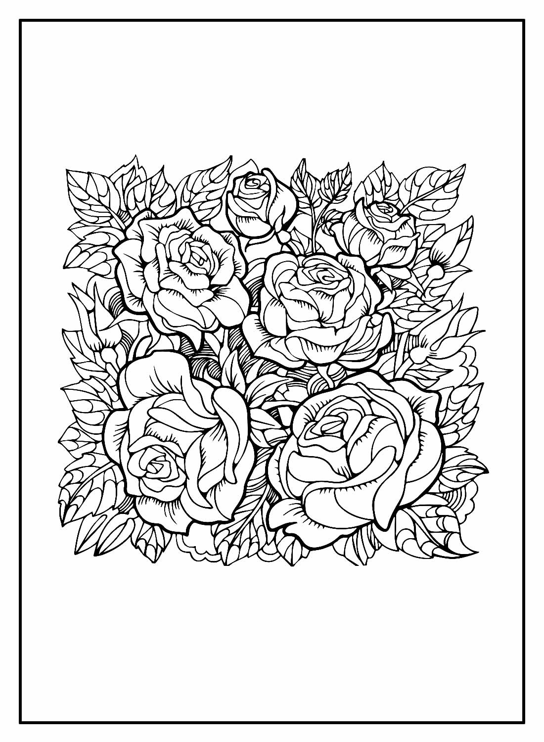 Desenho de Rosas para colorir