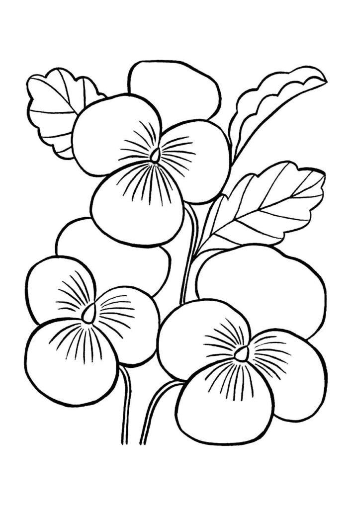 Desenho de Flores
