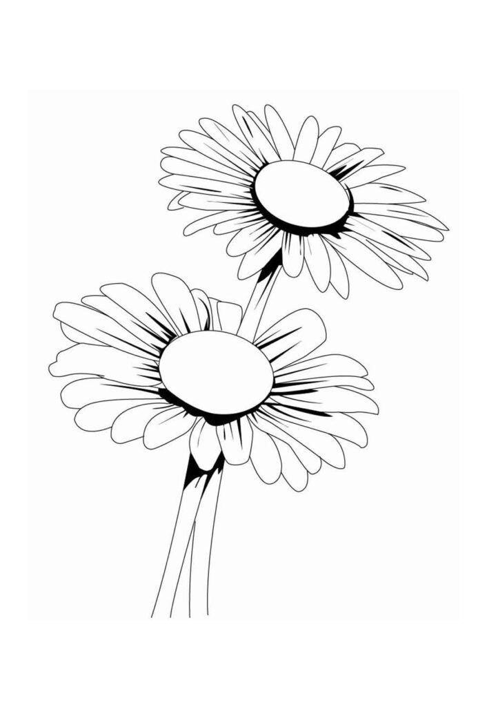 Desenho de Flores para colorir