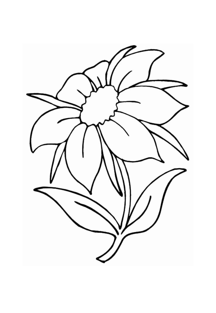 Desenho de Flor