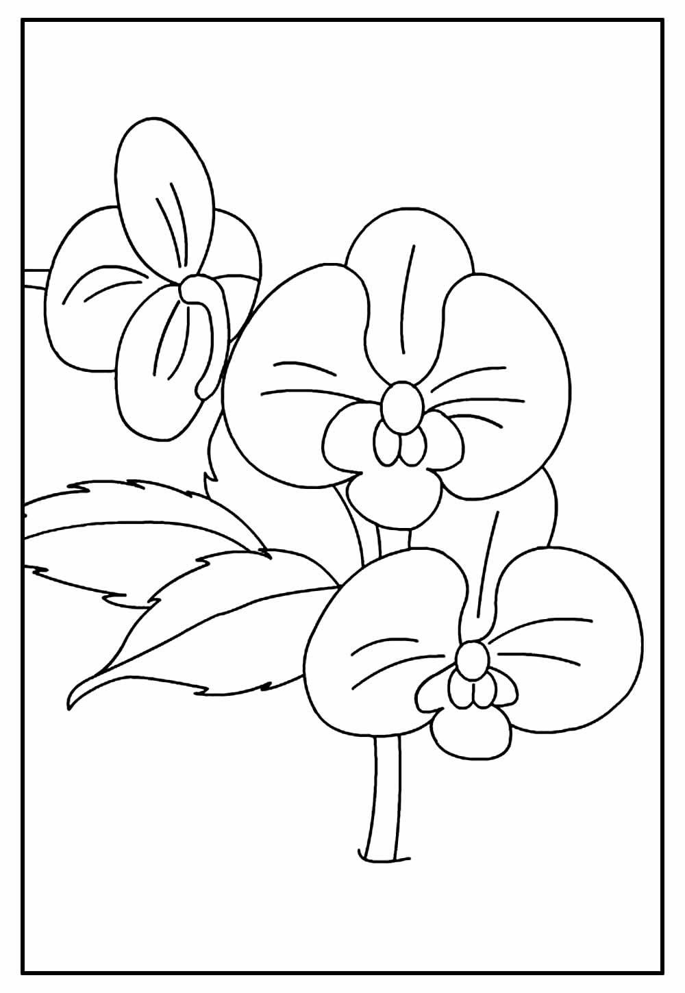 Desenho para imprimir de Orquídea