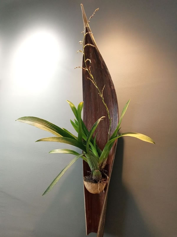 Decoração com Casca de Coco