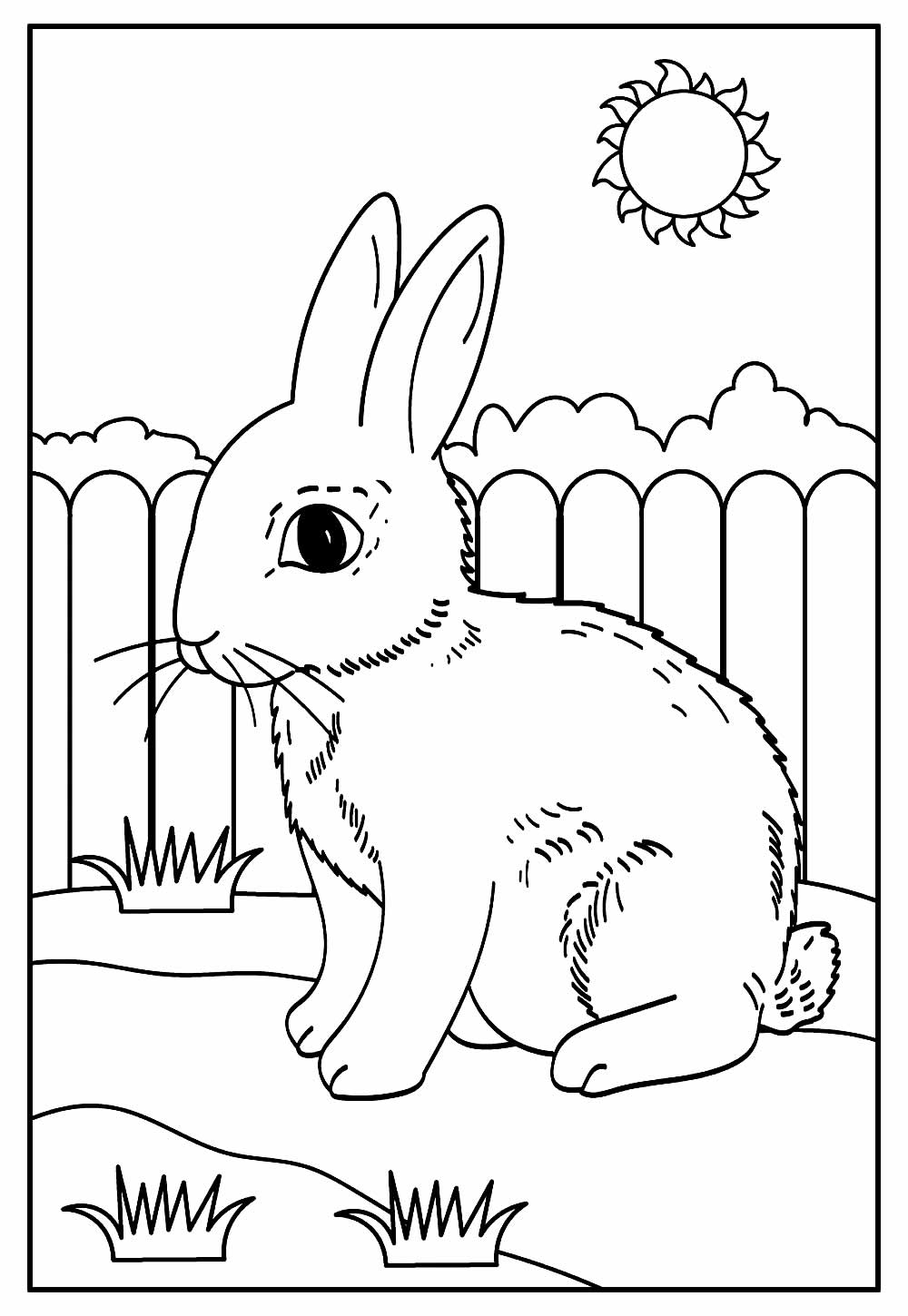 Desenhos de Coelhos