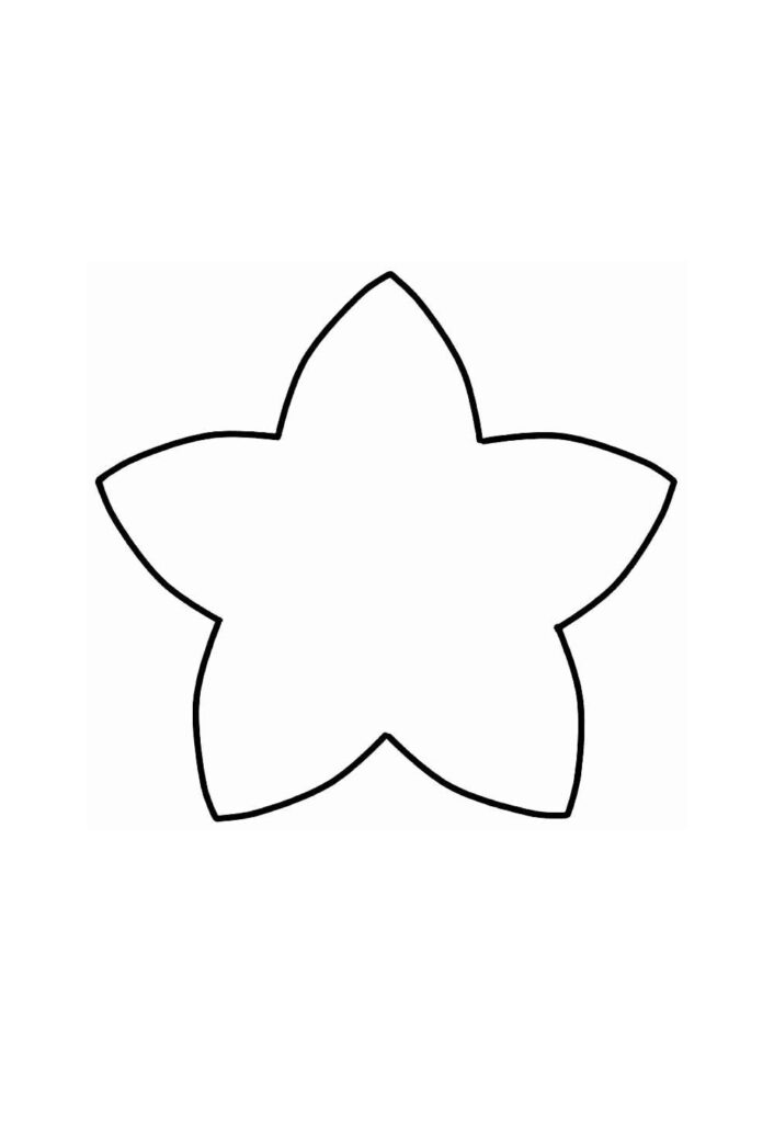 Molde de Estrela Grande