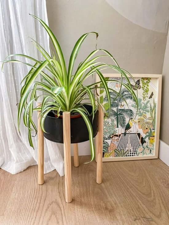 Artesanato com Cabos de Vassoura
