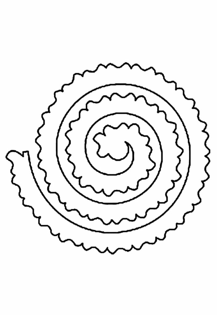 Moldes de Florr