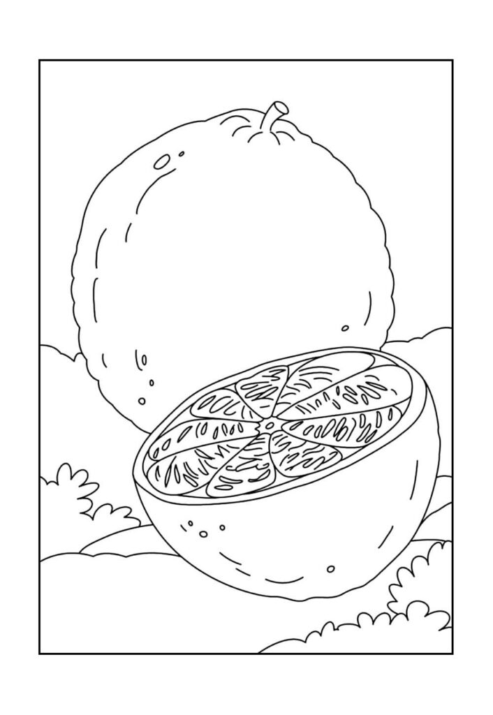 Desenho de Laranja