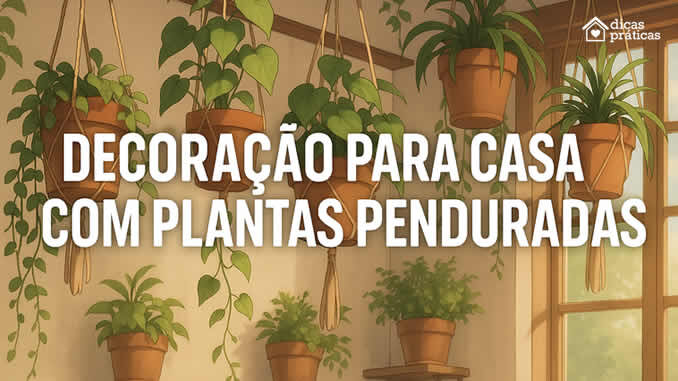 Decoração para Casa com Plantas Penduradas